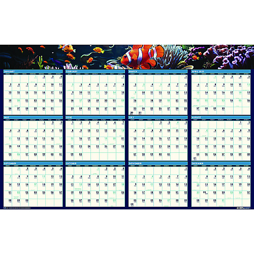 House of Doolittle Earthscapes Recycled Reversible/Erasable Yearly Wall Calendar, Sea Life Photos, 24 x 37, White Sheets, 12-Month(Jan-Dec):2026 (3969)