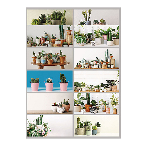 Blueline 12-Month Wall Calendar, Minimalistic Artwork, 12 x 17, White/Multicolor Sheets, 12-Month (Jan to Dec): 2026 (C173121)