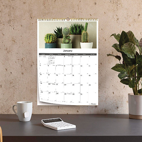 Blueline 12-Month Wall Calendar, Minimalistic Artwork, 12 x 17, White/Multicolor Sheets, 12-Month (Jan to Dec): 2026 (C173121)