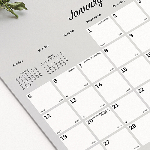 Blueline Romantic Wall Calendar, Floral Photography, 12 x 17, White/Multicolor Sheets, 12-Month (Jan to Dec): 2026 (C173122)