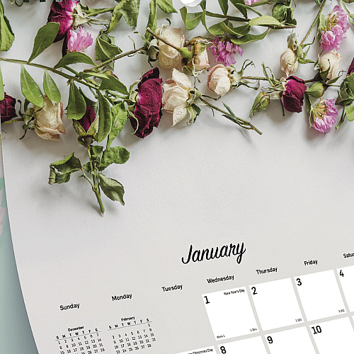 Blueline Romantic Wall Calendar, Floral Photography, 12 x 17, White/Multicolor Sheets, 12-Month (Jan to Dec): 2026 (C173122)