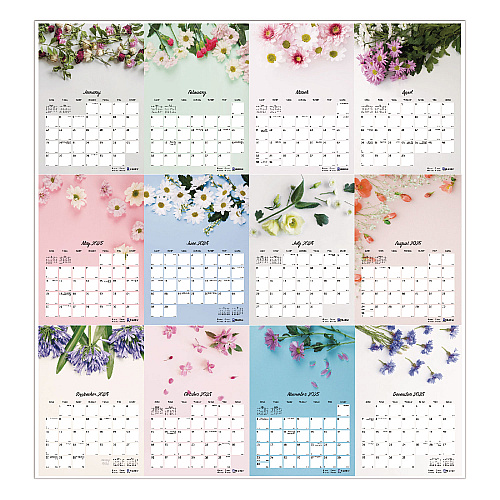 Blueline Romantic Wall Calendar, Floral Photography, 12 x 17, White/Multicolor Sheets, 12-Month (Jan to Dec): 2026 (C173122)