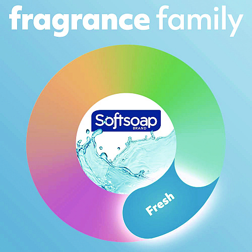 Softsoap Antibacterial Liquid Hand Soap Refill, Cool Splash, 50 oz Bottle (61031016EA)