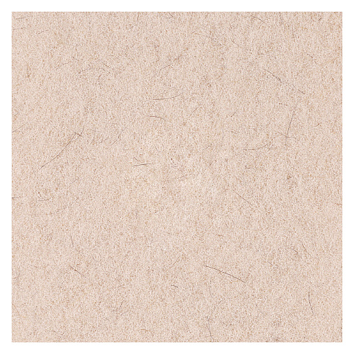 Boardwalk Natural Hog Hair Burnishing Floor Pads, 17" Diameter, Tan, 5/Carton (BWK4017NHE)