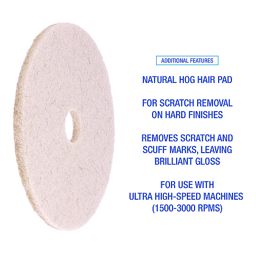 Boardwalk Natural Hog Hair Burnishing Floor Pads, 21" Diameter, Tan, 5/Carton (BWK4021NHE)