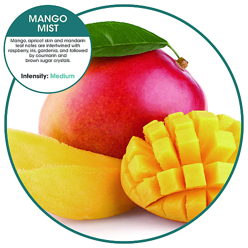 Fresh Products WCBasix Urinal Screen, Mango Mist Scent, Orange, 0.11 oz, 10/Box (WCBX10MGBX)