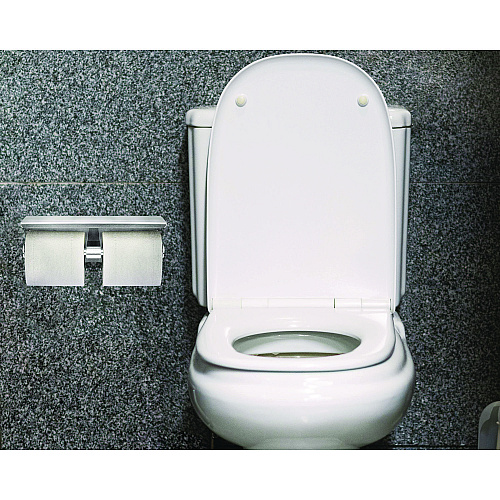 Alpine Double Post Toilet Paper Holder with Shelf Storage Rack, 3.87 x 10.5 x 3.95, Brushed Stainless Steel (ALP487B)