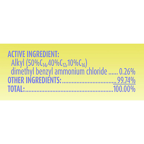 Lysol&reg; Dual Action Disinfecting Wipes, Citrus Scent, 75 Wipes (81700)