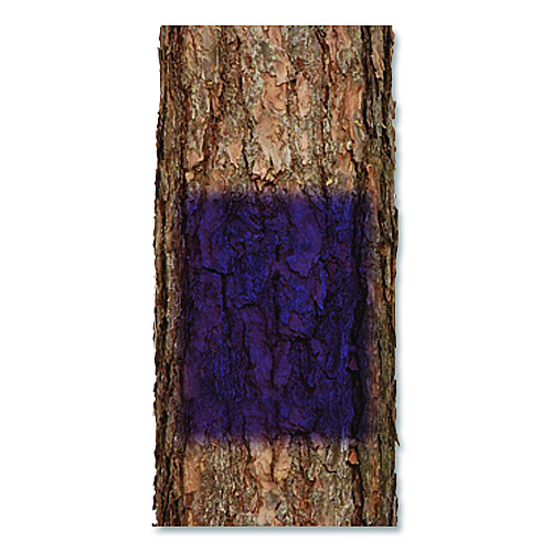 Rust-Oleum Specialty No Hunting Purple Spray Paint, Flat No Hunting Purple, 12 oz Aerosol Can (270970)
