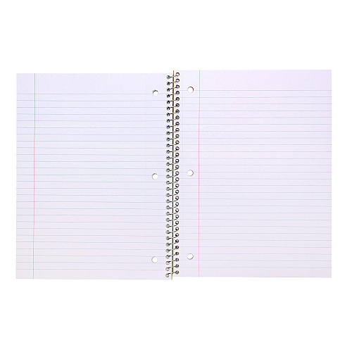 PUKKA PAD Letter Size 1-Subject Notebook, Medium/College Rule, Metallic Green Cover with White Dots, (50), 10.5 x 8 Sheets, 3/Pack (8795MET)