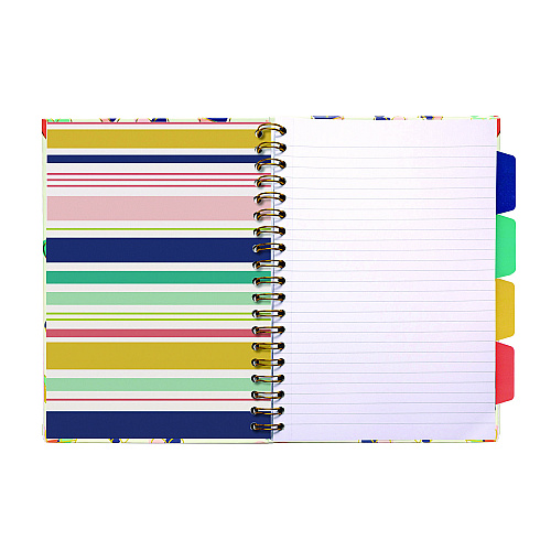PUKKA PAD B5 Size Project Book, 4-Subject, Medium/College Rule, Assorted Cover Colors, (100) 9.8 x 6.9 Sheets, 3/Pack (9032CD)