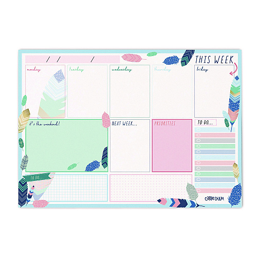 PUKKA PAD Weekly Planner Pad, Feathers, 11.7 x 8.3, Blue/Cream/Pink Cover, 12-Month, Undated, 6/Pack (9219CD)