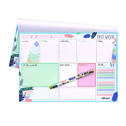 PUKKA PAD Weekly Planner Pad, Feathers, 11.7 x 8.3, Blue/Cream/Pink Cover, 12-Month, Undated, 6/Pack (9219CD)