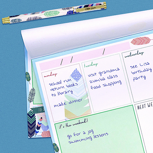 PUKKA PAD Weekly Planner Pad, Feathers, 11.7 x 8.3, Blue/Cream/Pink Cover, 12-Month, Undated, 6/Pack (9219CD)