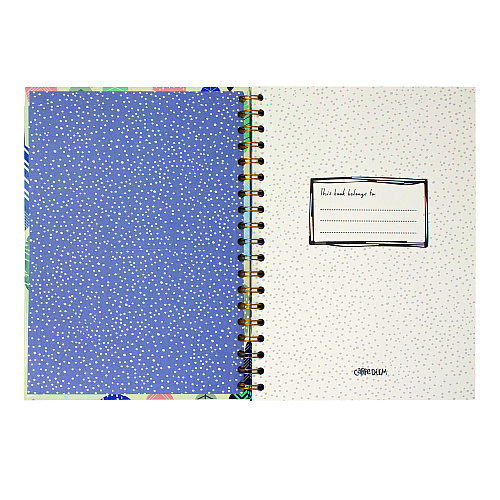 PUKKA PAD B5 Size Notebook, 1 -Subject, Medium/College Rule, Design Cover, (80) 9.8 x 6.9 Sheets, 3/Pack (9379CD)