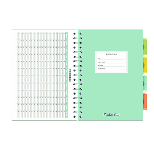 PUKKA PAD B5 Size Project Book, 4-Subject, Gray/White Study Book Cover, (100) 9.8 x 6.9 Sheets (9824STU)