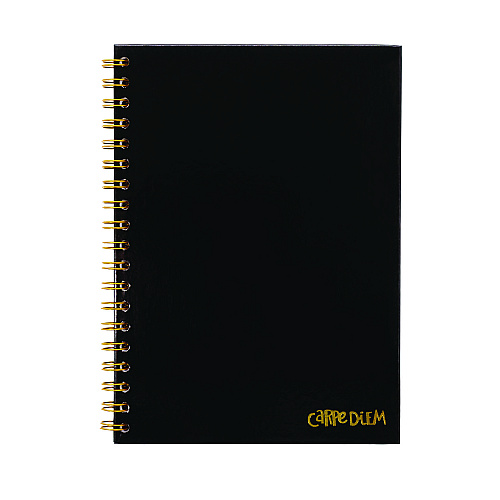 PUKKA PAD B5 Size Notebook, 1 -Subject, Medium/College Rule, Black Cover, (80) 9.8 x 6.9 Sheets, 3/Pack (9375CD)