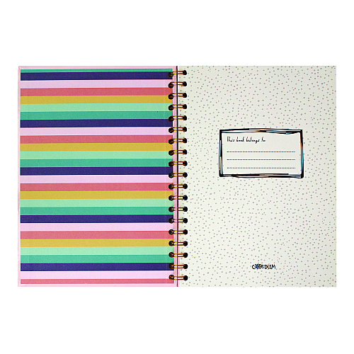 PUKKA PAD B5 Size Notebook, 1 -Subject, Medium/College Rule, Pink Cover, (80) 9.8 x 6.9 Sheets, 3/Pack (9376CD)