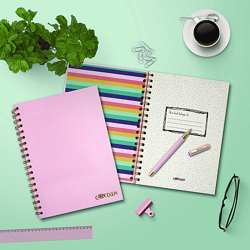 PUKKA PAD B5 Size Notebook, 1 -Subject, Medium/College Rule, Pink Cover, (80) 9.8 x 6.9 Sheets, 3/Pack (9376CD)