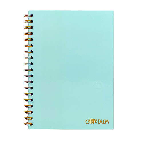 PUKKA PAD B5 Size Notebook, 1 -Subject, Medium/College Rule, Blue Cover, (80) 9.8 x 6.9 Sheets, 3/Pack (9378CD)