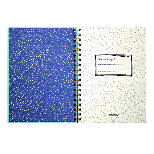 PUKKA PAD B5 Size Notebook, 1 -Subject, Medium/College Rule, Blue Cover, (80) 9.8 x 6.9 Sheets, 3/Pack (9378CD)