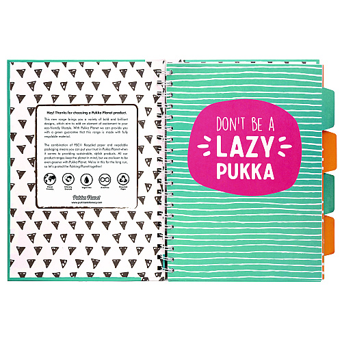 PUKKA PAD B5 Size Eco Project Book, 4-Subject, Medium/College Rule, Assorted Multicolor Covers, (100) 9.8 x 6.9 Sheets, 2/Pack (9702SPP)