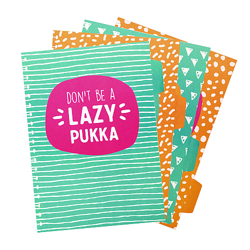 PUKKA PAD B5 Size Eco Project Book, 4-Subject, Medium/College Rule, Assorted Multicolor Covers, (100) 9.8 x 6.9 Sheets, 2/Pack (9702SPP)