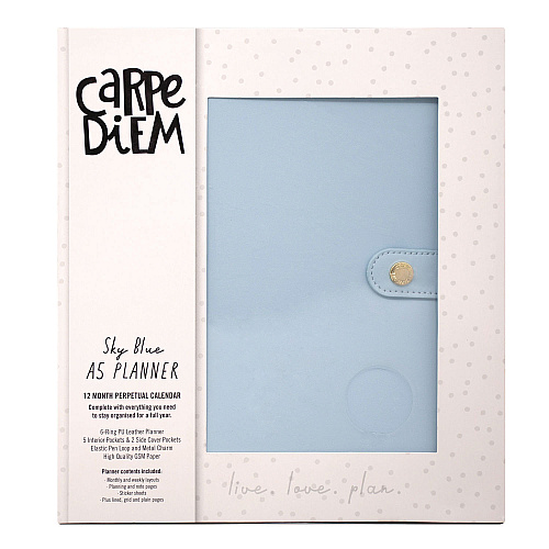 PUKKA PAD A5 Planner, 10.24 x 9.25, Blue Cover, 12-Month (9164CD)