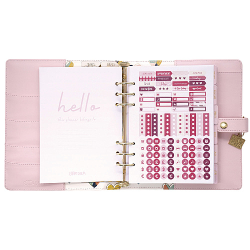 PUKKA PAD A5 Planner, 10.24 x 9.25, Pink Cover, 12-Month (9152CD)