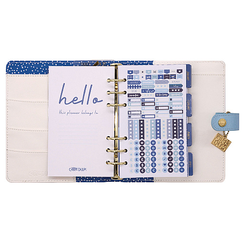 PUKKA PAD Personal Planner, Feathers, 7.48 x 6.42, Blue/Cream/Pink Cover, 12-Month, Undated (9210CD)