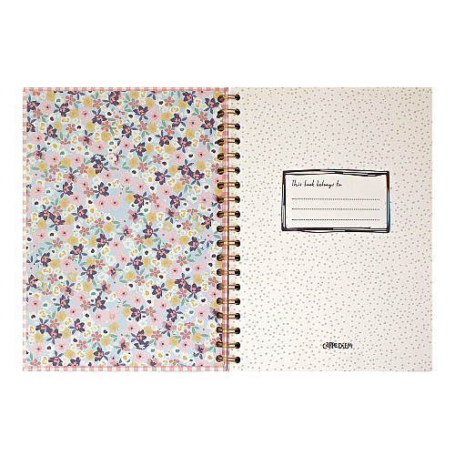 PUKKA PAD B5 Size Notebook, 1 -Subject, Medium/College Rule, Pink Cover, (80) 6.9 x 4.9 Sheets, 3/Pack (9377CD)