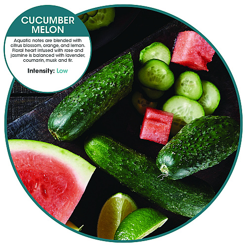 Fresh Products Myfresh Refills, Cucumber Melon, 6 refills (MYF36CMBX)