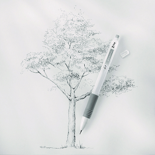 Zebra Z-Grip Plus Mechanical Pencil, 0.7, (#2), Black Lead, White Barrel, Dozen (50400)