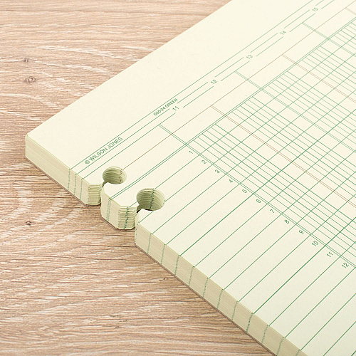 Wilson Jones Accounting Sheets, 24 Columns, 11 x 14, Green, Loose Sheet, 100/Pack (G3024)