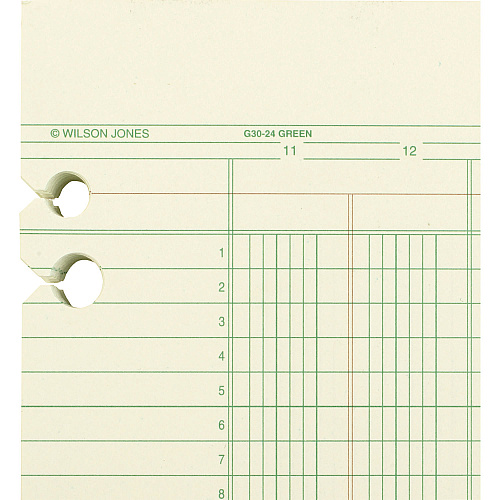 Wilson Jones Accounting Sheets, 24 Columns, 11 x 14, Green, Loose Sheet, 100/Pack (G3024)