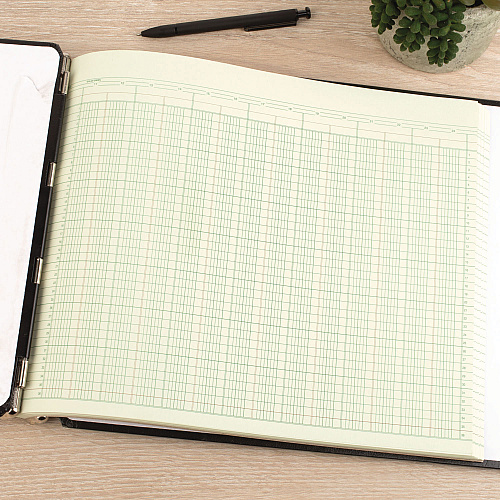 Wilson Jones Accounting Sheets, 24 Columns, 11 x 14, Green, Loose Sheet, 100/Pack (G3024)
