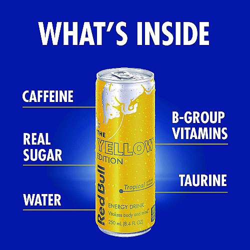 Red Bull Editions Variety Pack, Assorted Flavors, 8.4 oz Can, 24/Carton (22002380)