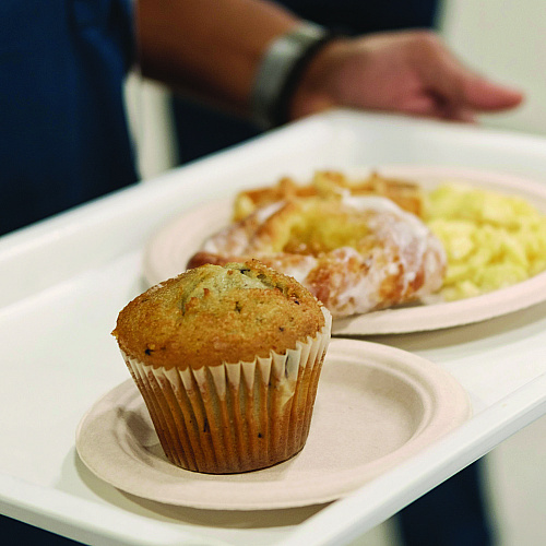 Dart Compostable Fiber Dinnerware, ProPlanet Seal, Plate, 6" dia, Natural, 1,000/Carton (6FBRP1)