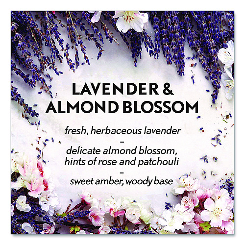 Air Wick Essential Mist Starter Kit, Lavender and Almond Blossom, 0.67 oz Bottle (6233802034)