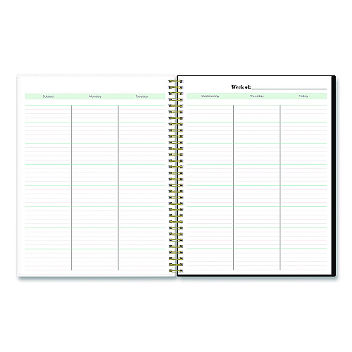 Blue Sky Dark Gray Gale Weekly/Monthly Lesson Planner, 9 Classes, Tropical Artwork, Gray/Mint Cover, 11 x 8.5 Sheets, 12-Month Span (136608A23)