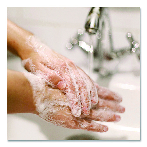 Dial Basics Hypoallergenic Liquid Hand Soap, Floral, 7.5 oz, 12/Carton (06028CT)