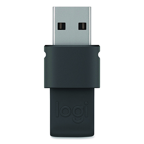 Logitech Spotlight Presentation Remote, Projects 100 ft, Slate (2632837)