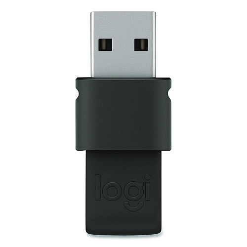 Logitech Spotlight Presentation Remote, Projects 100 ft, Slate (2632837)