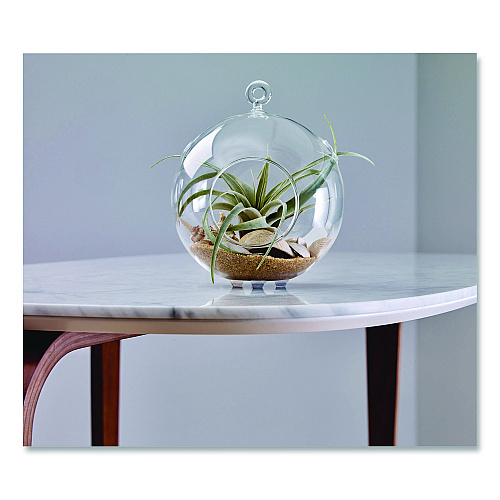 Scotch Bumpers, 0.5" dia, Clear, 40/Pack (SP951NA)