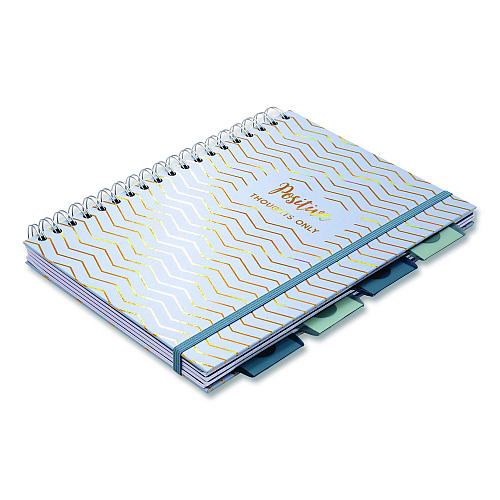 PUKKA PAD B5 Size Project Book, 5-Subject, Medium/College Rule, Assorted Haze Cover Colors, (100) 9.8 x 6.9 Sheets, 3/Pack (9975ASTHZE)