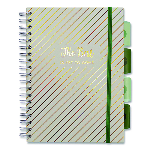 PUKKA PAD B5 Size Project Book, 5-Subject, Medium/College Rule, Assorted Haze Cover Colors, (100) 9.8 x 6.9 Sheets, 3/Pack (9975ASTHZE)