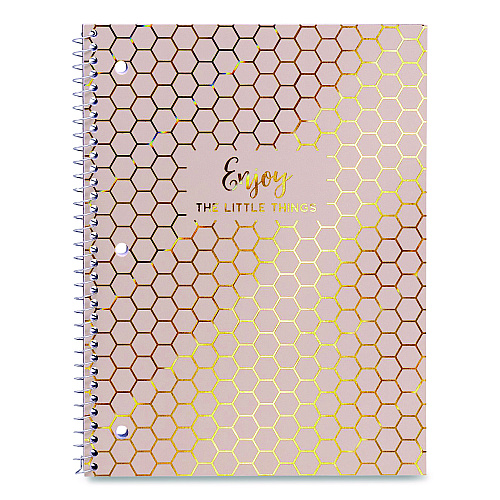 PUKKA PAD 1-Subject Notebook, Medium/College Rule, Assorted Haze Cover Colors, (50) 10.5 x 8 Sheets, 3/Pack (9978ASTHZE)