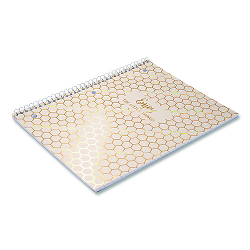 PUKKA PAD 1-Subject Notebook, Medium/College Rule, Assorted Haze Cover Colors, (50) 10.5 x 8 Sheets, 3/Pack (9978ASTHZE)