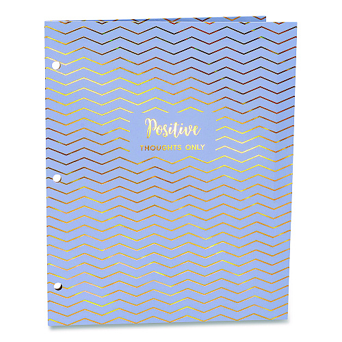PUKKA PAD Two-Pocket Portfolio Folder, 1" Capacity, 9.6 x 11.9, Haze, Blue/Green/Taupe, 6/Pack (9980ASTHZE)