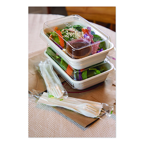 Eco-Products WorldView Vanguard Rectangular Container, 32 oz, 4.71 x 7.01 x 1.04, White, Sugarcane Fiber, 400/Carton (EPSCRC32NFA)